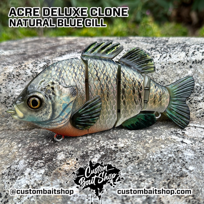 5" Acre Deluxe Swim Bait Clone