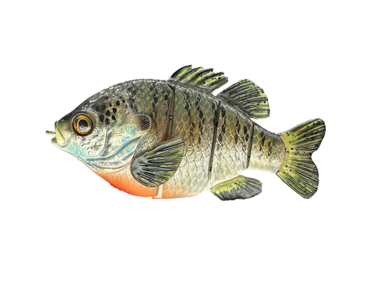 5" Acre Deluxe Swim Bait Clone