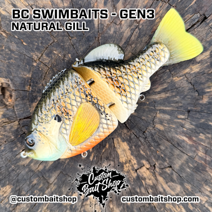 BC Gen3 - Painted Resin Baits