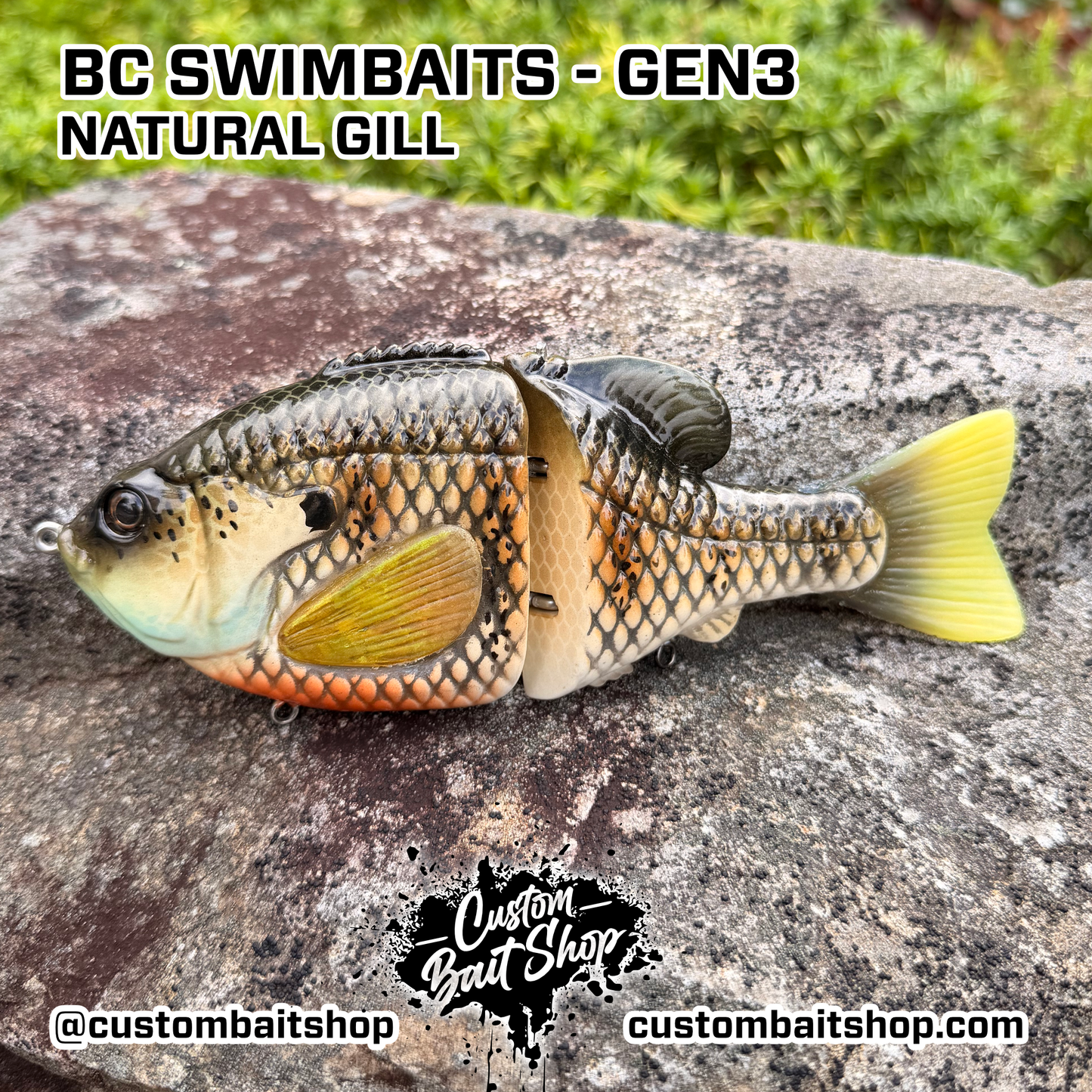 BC Gen3 - Painted Resin Baits