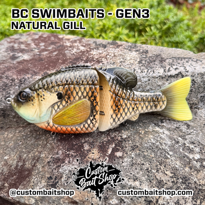 BC Gen3 - Painted Resin Baits