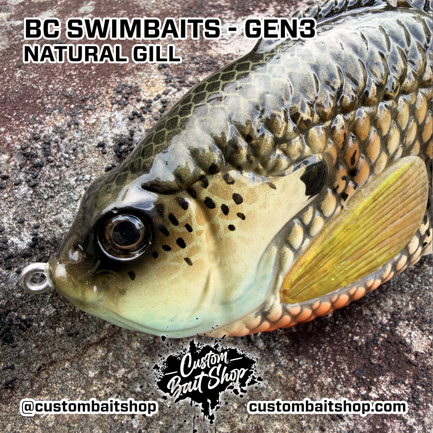 BC Gen3 - Painted Resin Baits