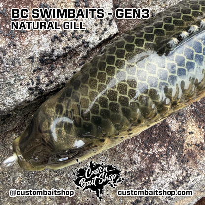BC Gen3 - Painted Resin Baits
