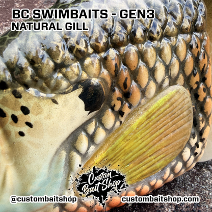 BC Gen3 - Painted Resin Baits