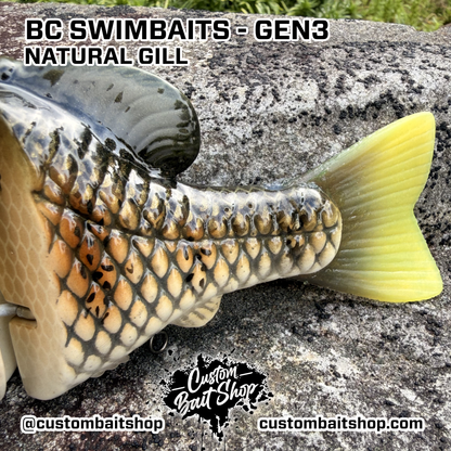 BC Gen3 - Painted Resin Baits