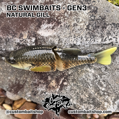 BC Gen3 - Painted Resin Baits