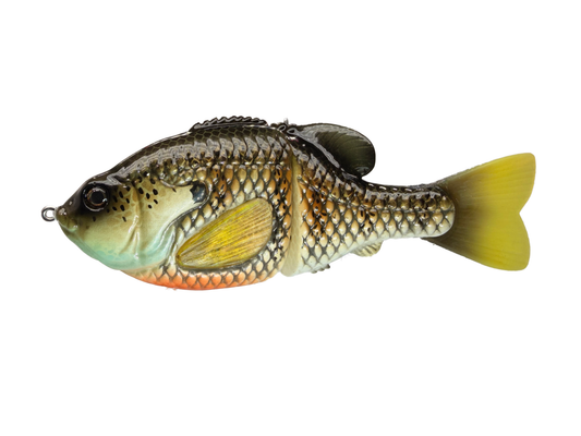 BC Gen3 - Painted Resin Baits