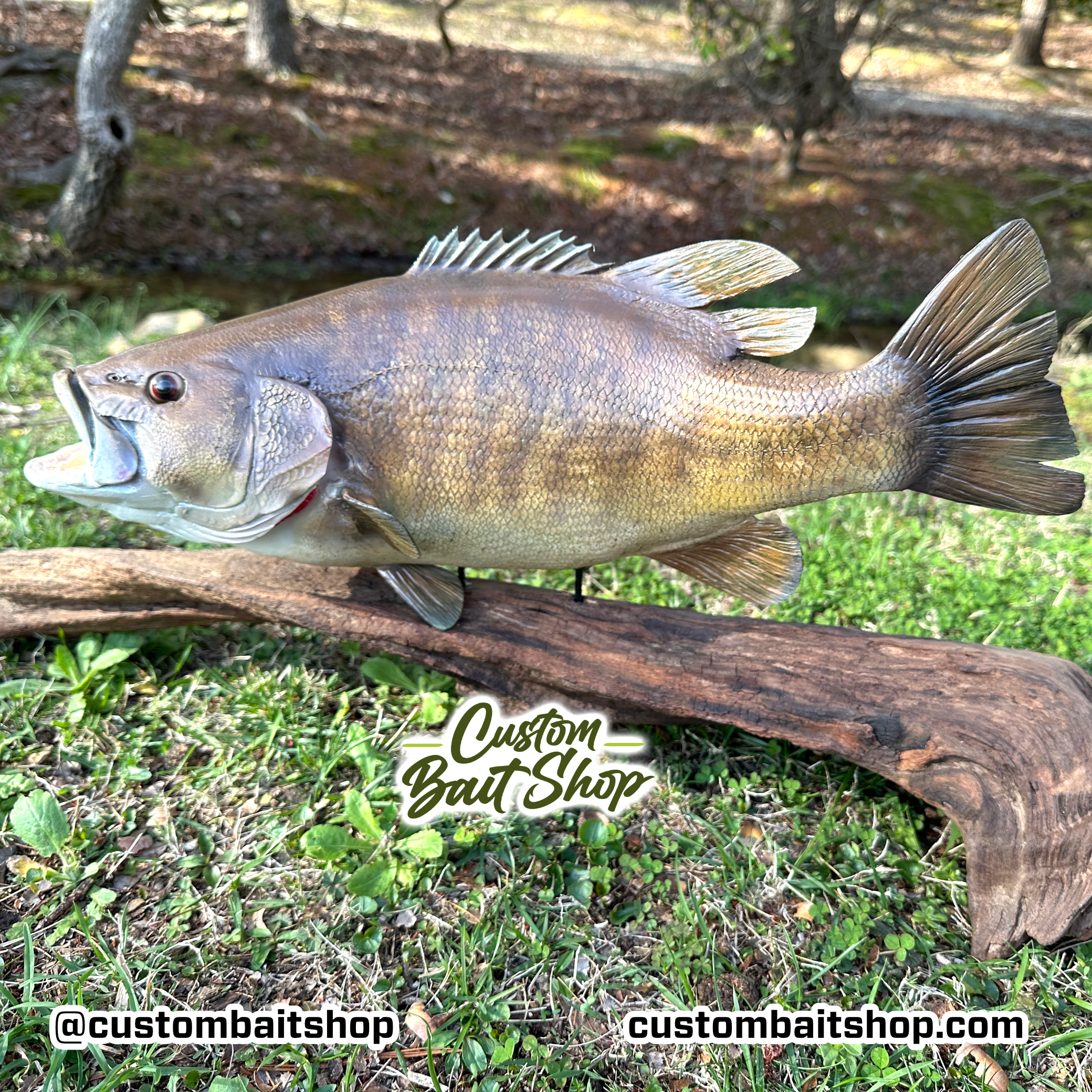 Custom Bait Shop fish replica