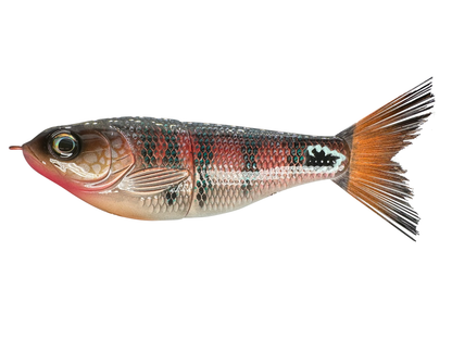7" Big Belly Glide Bait (Sale)