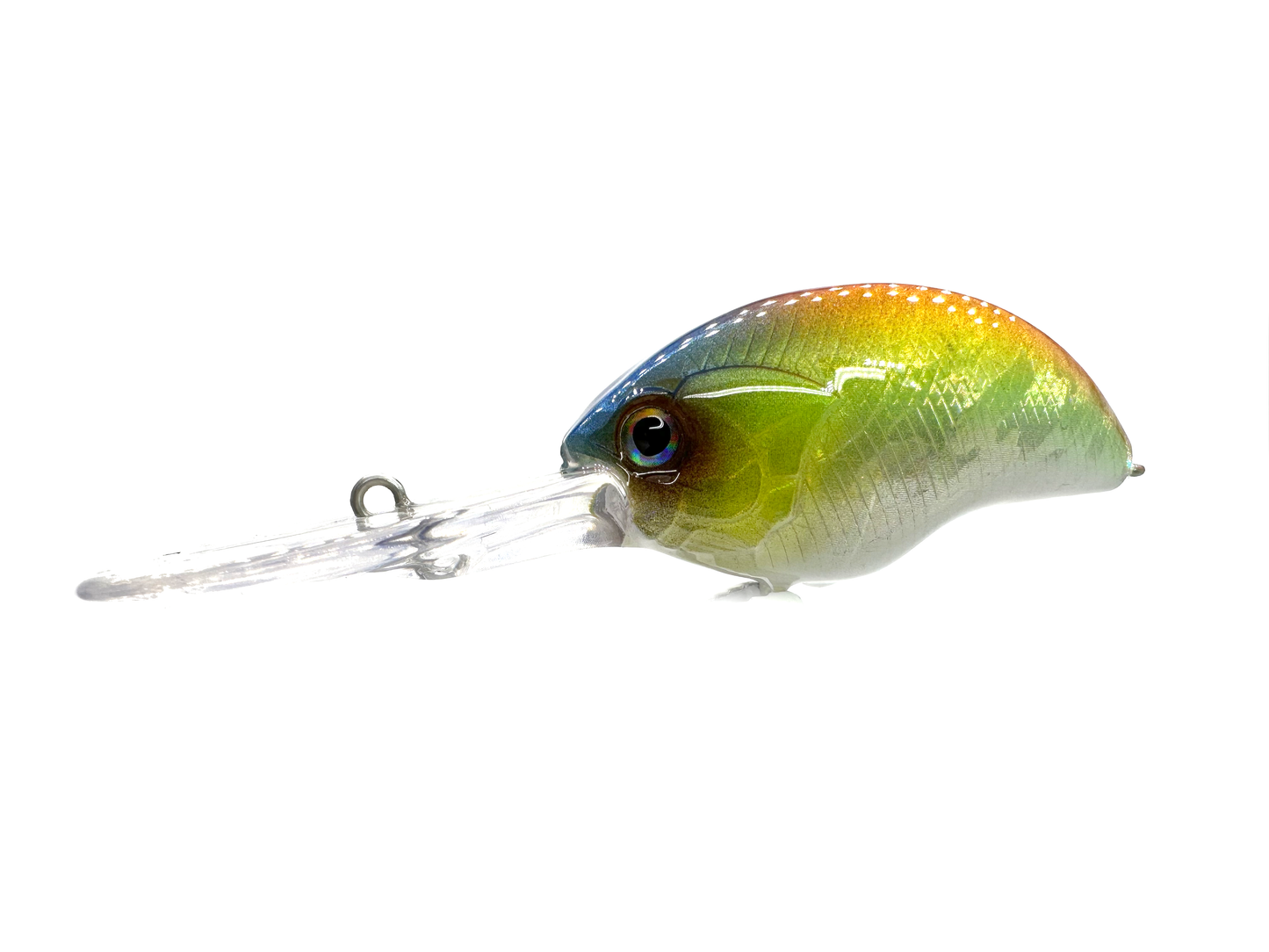 Custom Blitz EX DR Alternative Crankbait