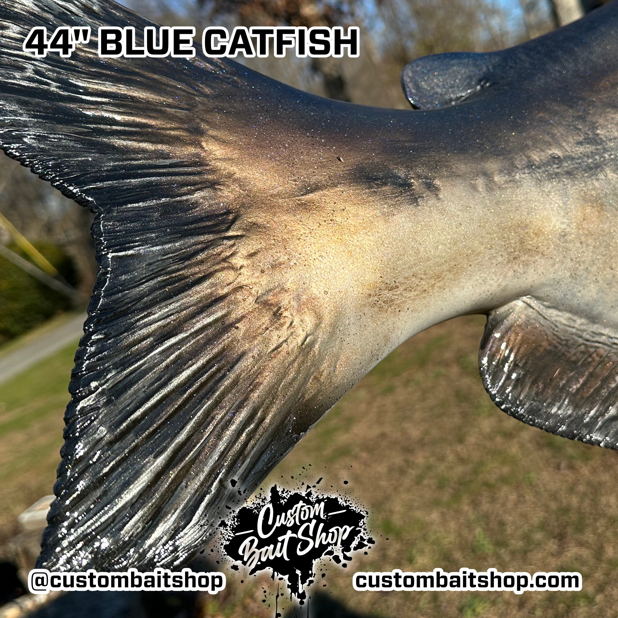 Custom Bait Shop fish replica