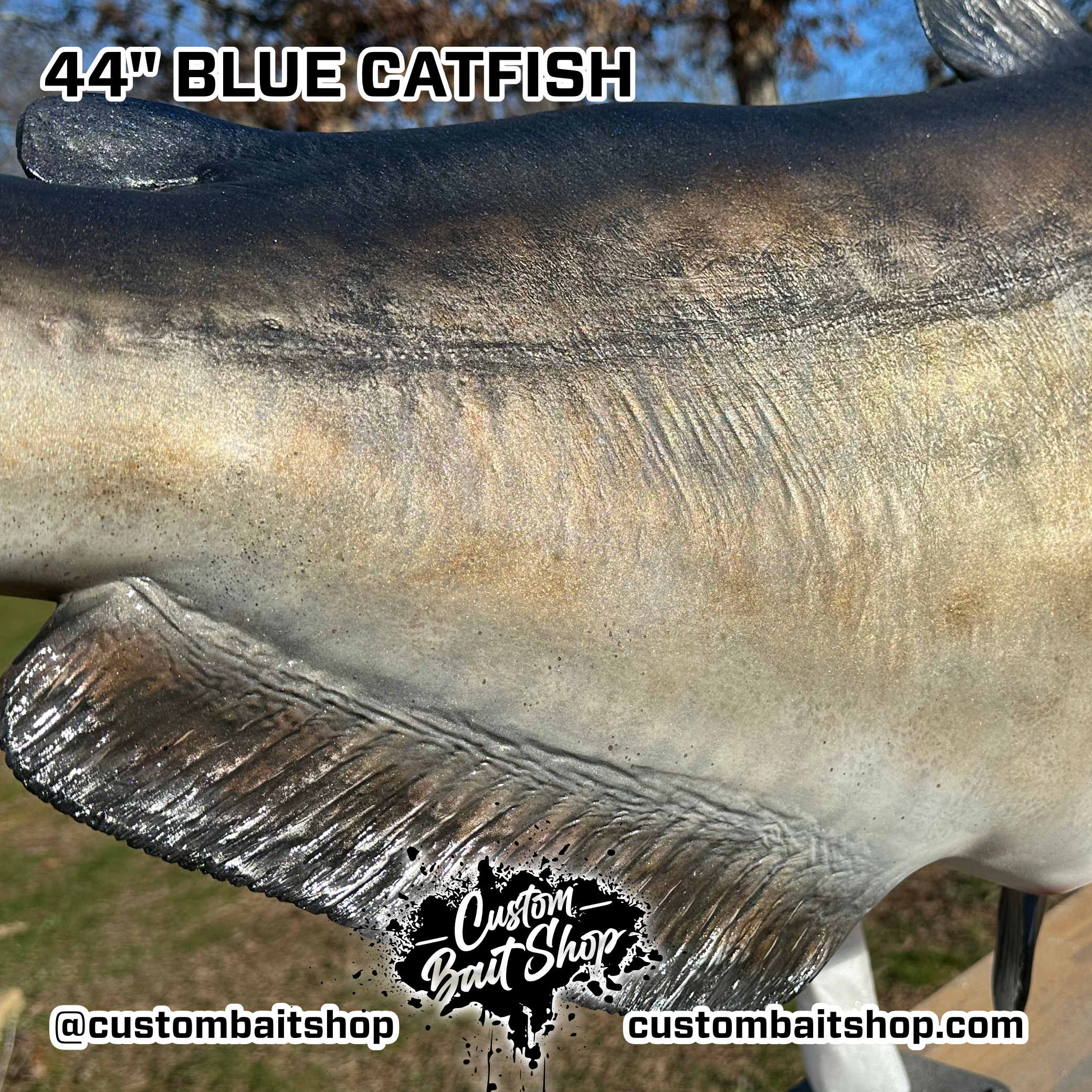Custom Bait Shop fish replica