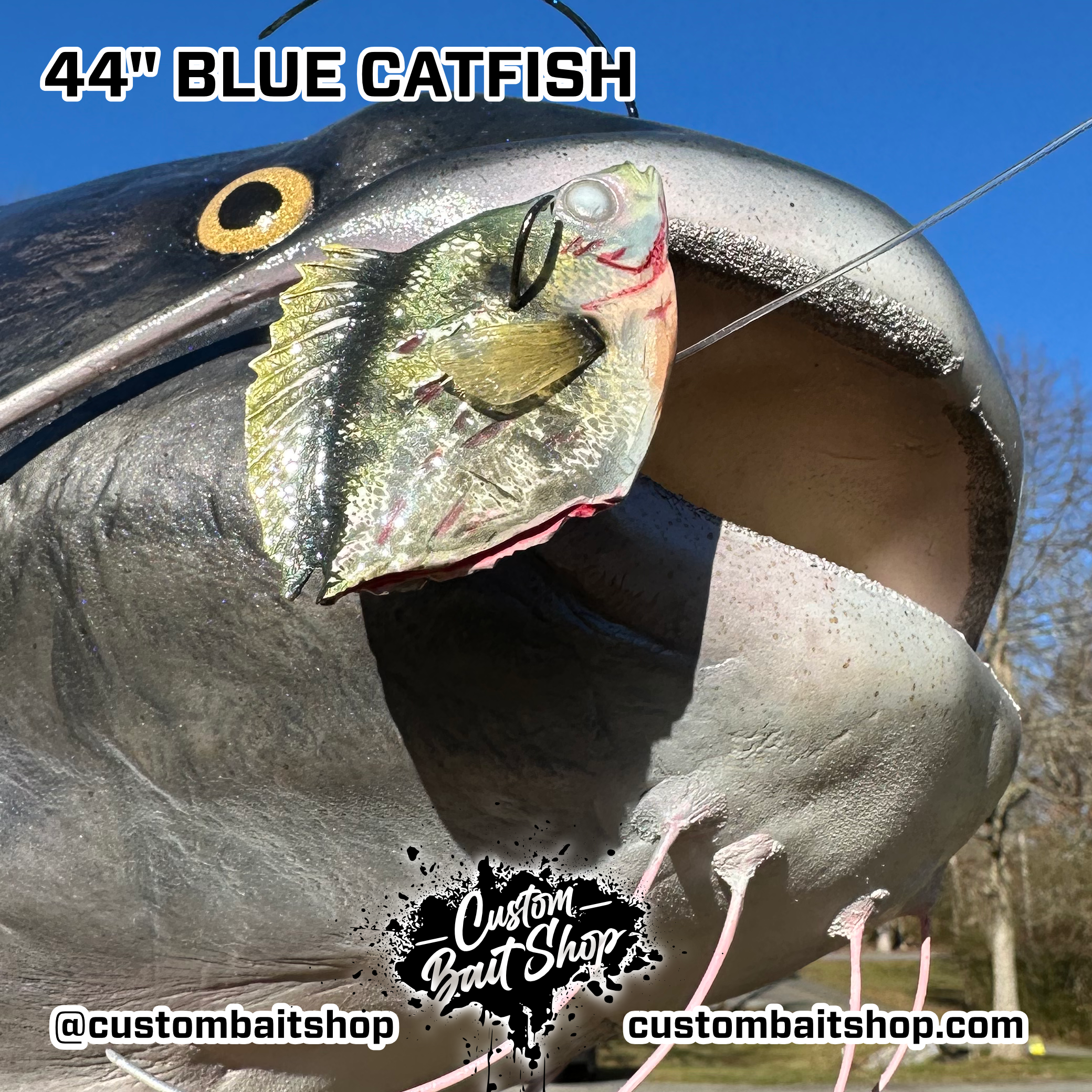 Custom Bait Shop fish replica