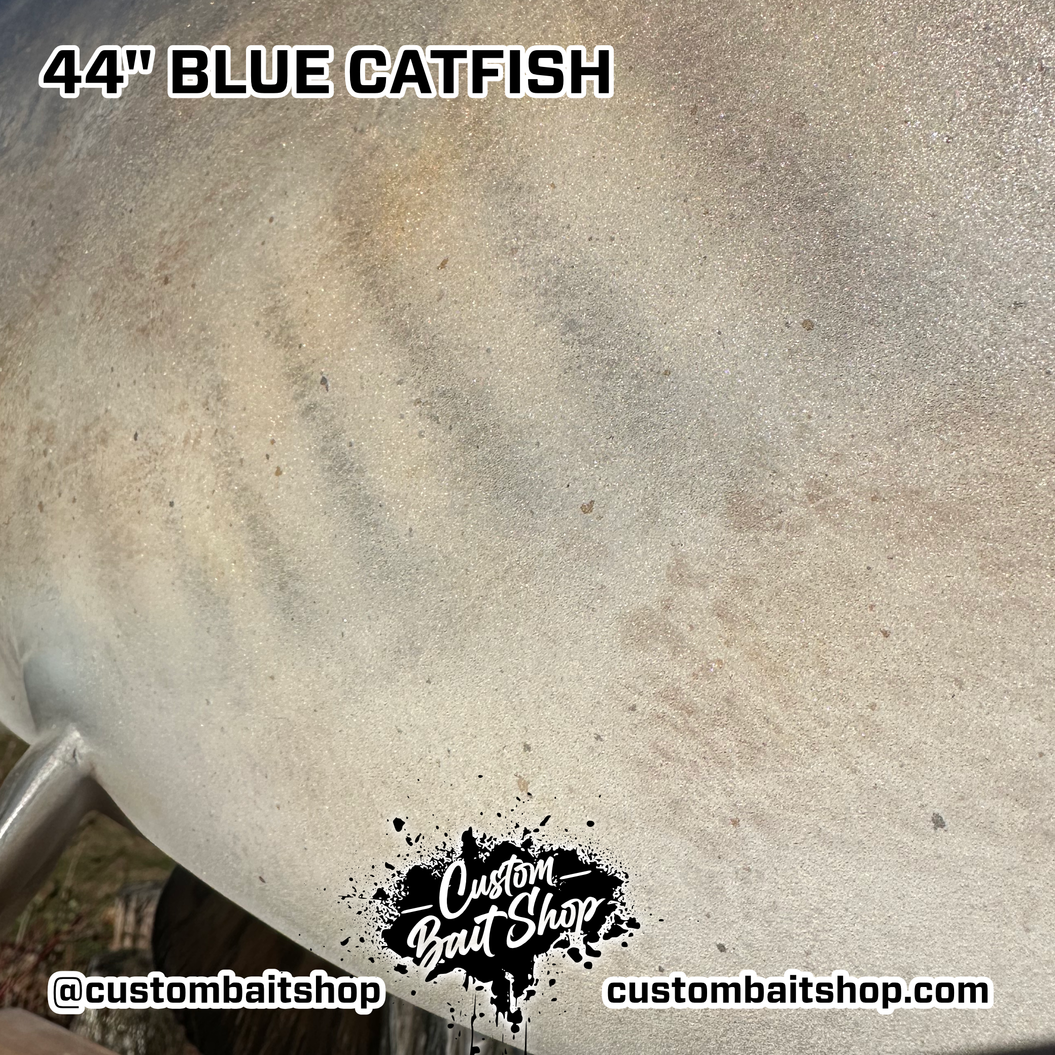 Custom Bait Shop fish replica