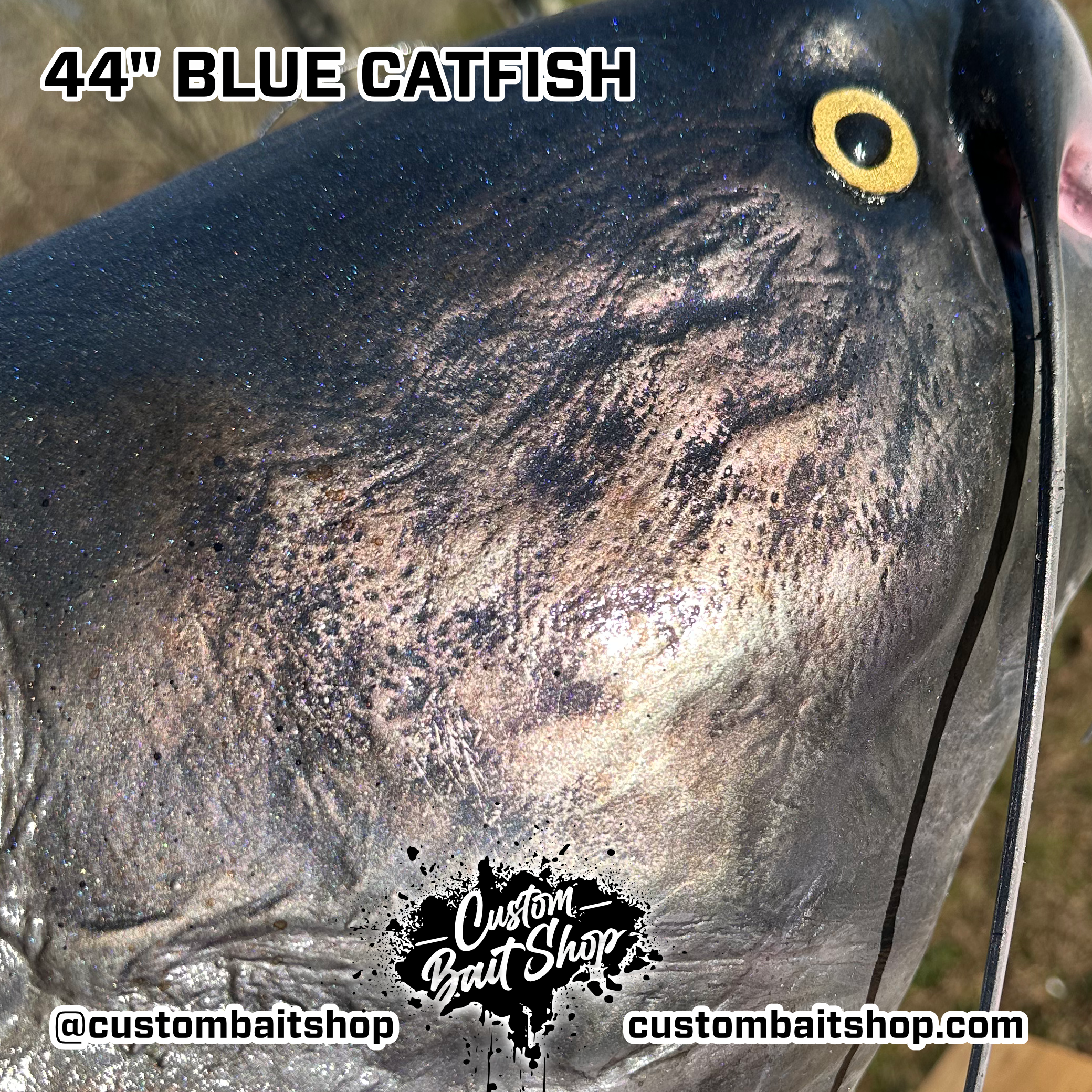 Custom Bait Shop fish replica