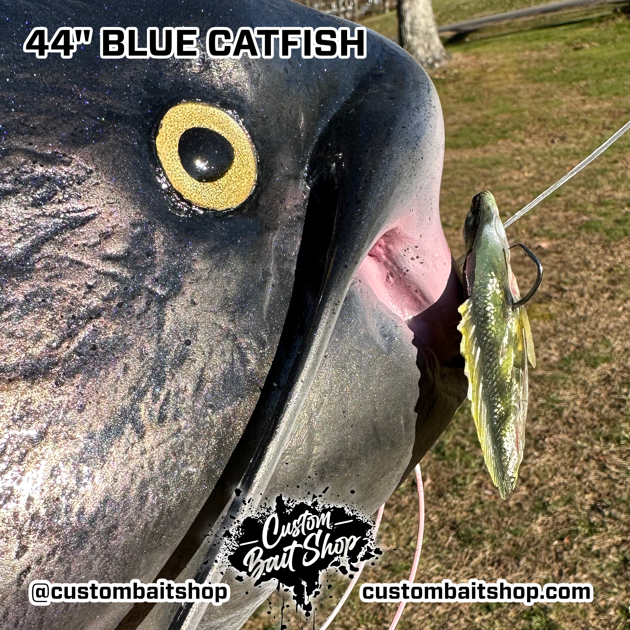 Custom Bait Shop fish replica
