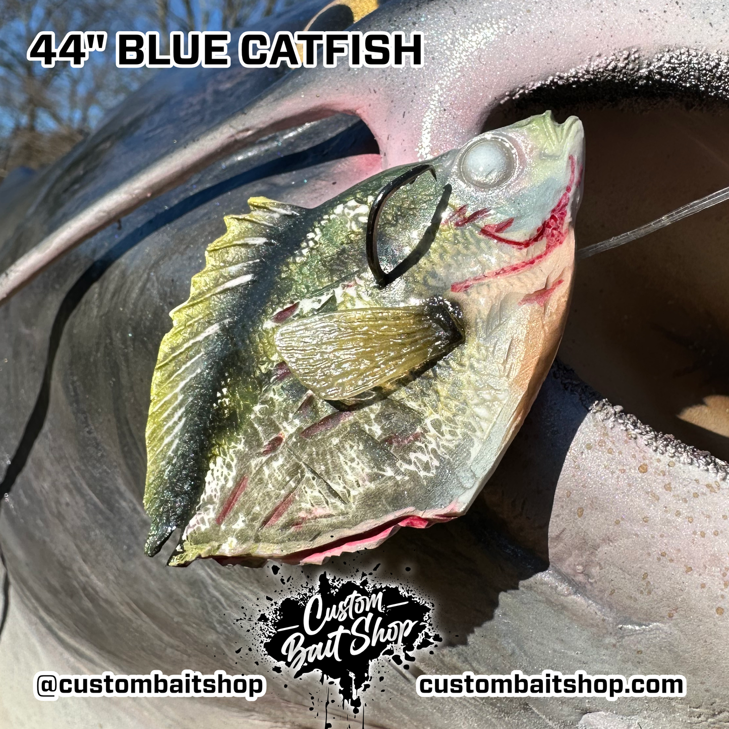 Catfish Replica Wall Mount (deposit)