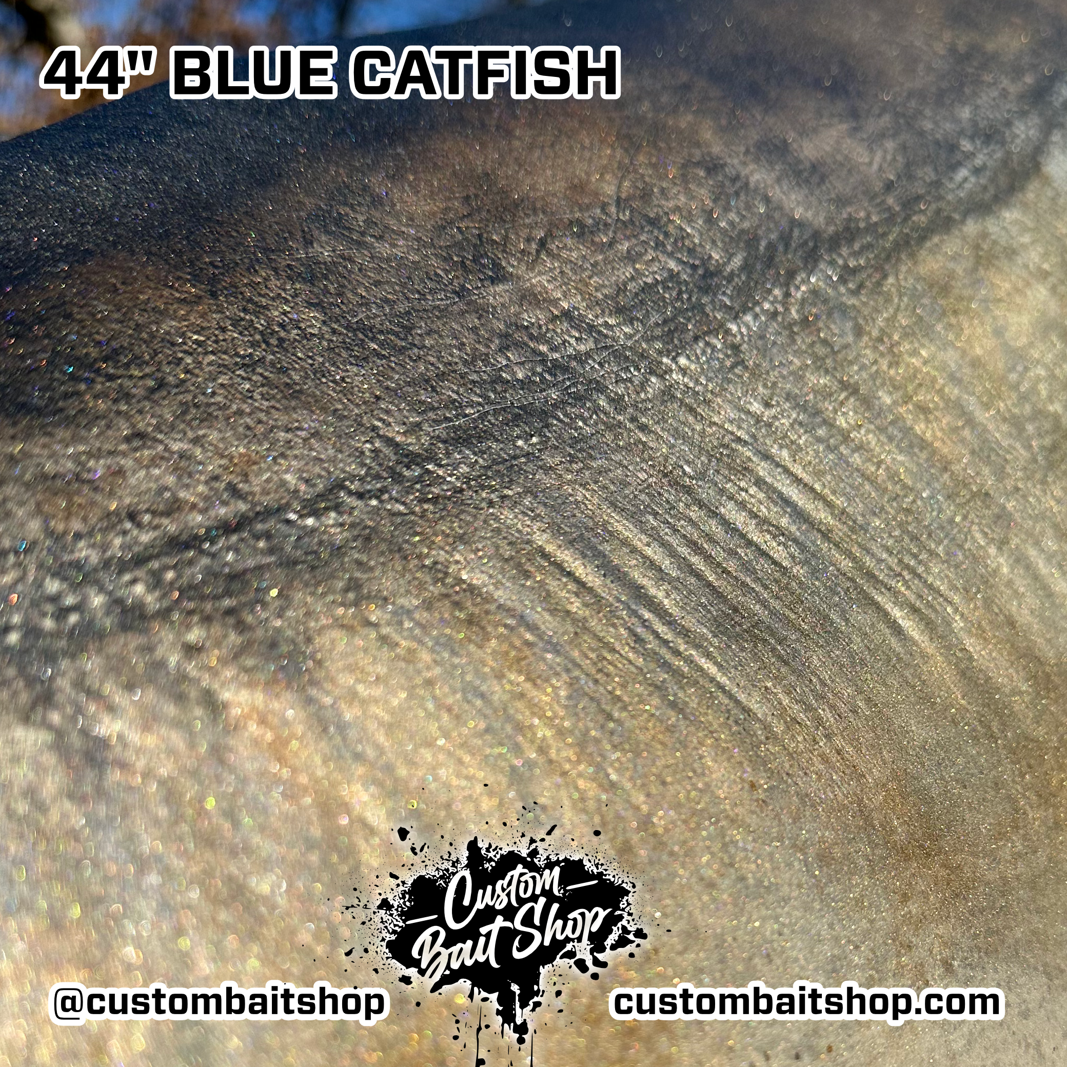Custom Bait Shop fish replica