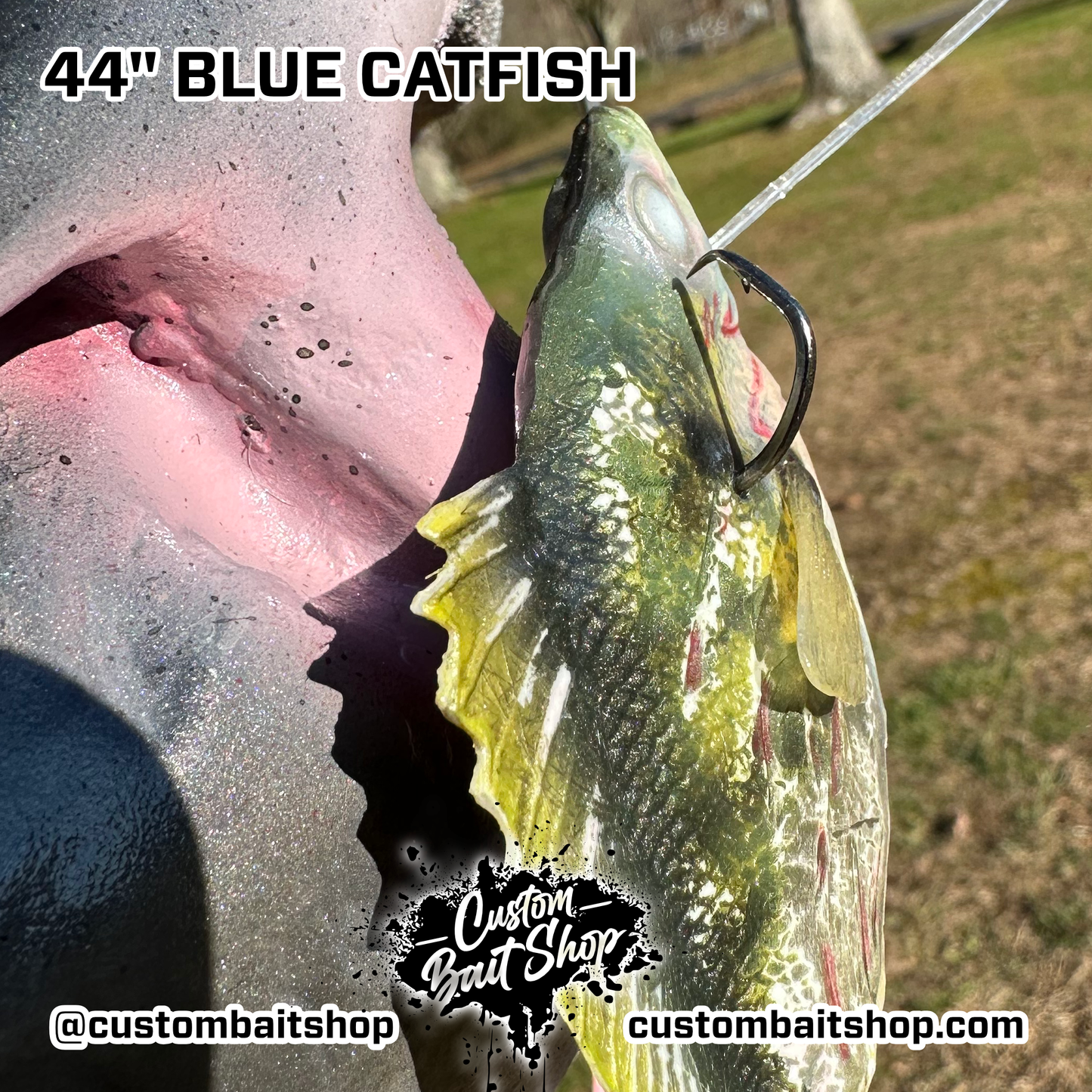 Catfish Replica Wall Mount (deposit)