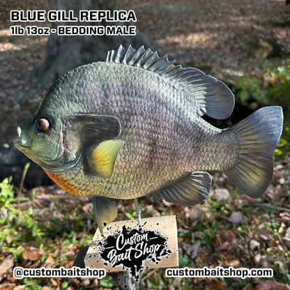 Blue Gill Replica Wall Mount (deposit)