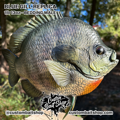 Blue Gill Replica Wall Mount (deposit)