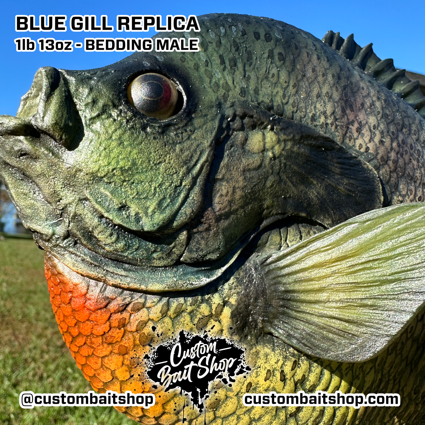 Blue Gill Replica Wall Mount (deposit)