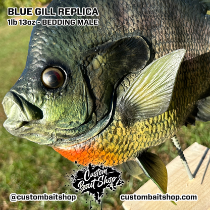 Blue Gill Replica Wall Mount (deposit)