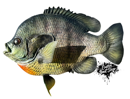 Blue Gill Replica Wall Mount (deposit)