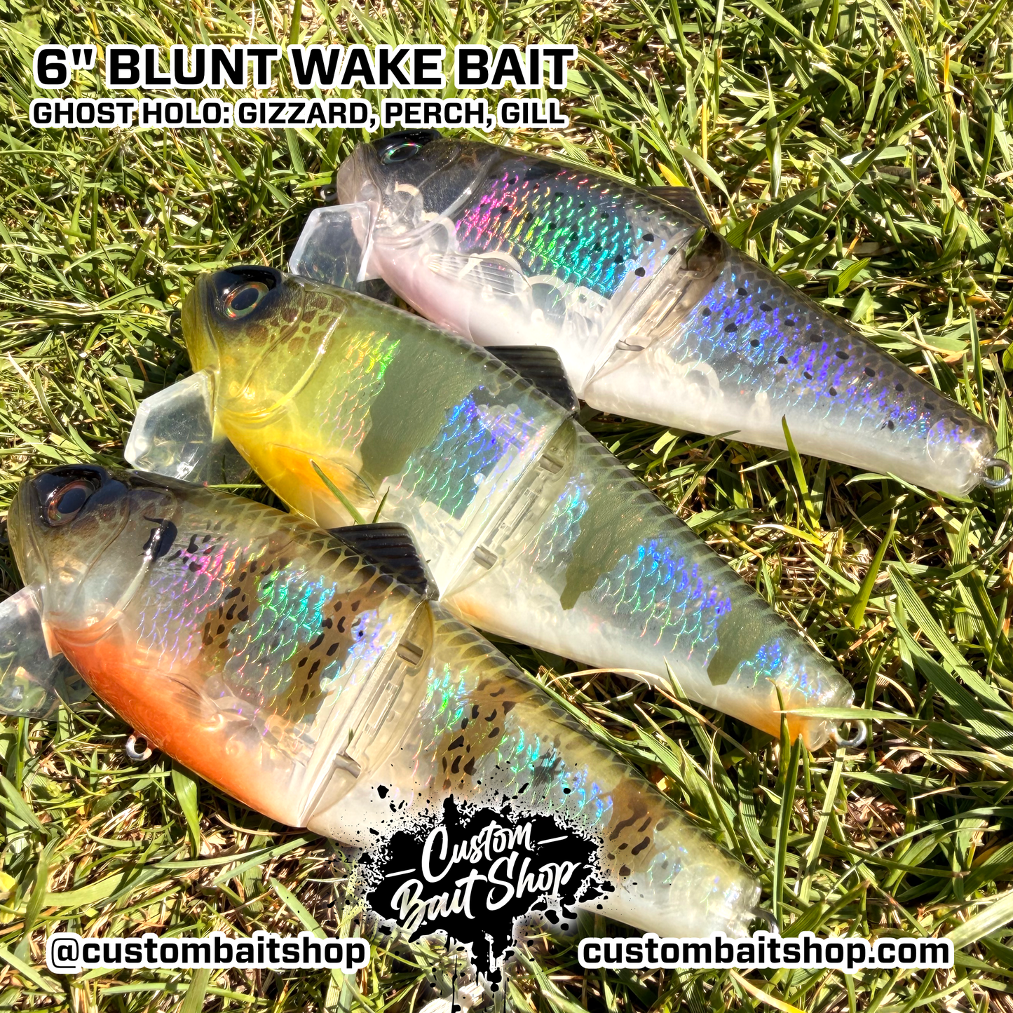 Blunt Wakebait (Sale)