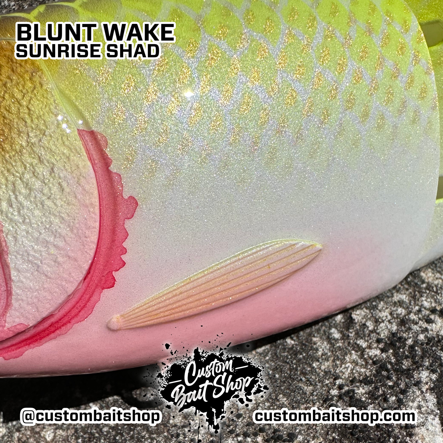 Blunt Wakebait (Sale)