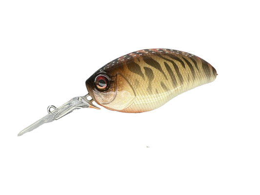 Golden Tiger - Random Sizes (Sale)