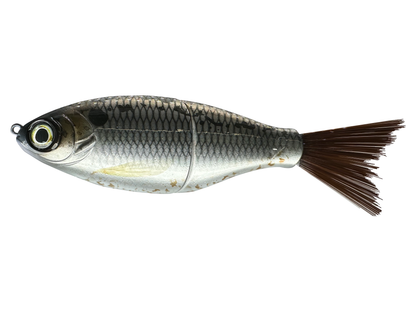 6" Bushido Shad