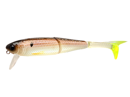 Buzz Bill Magnum (Sale)