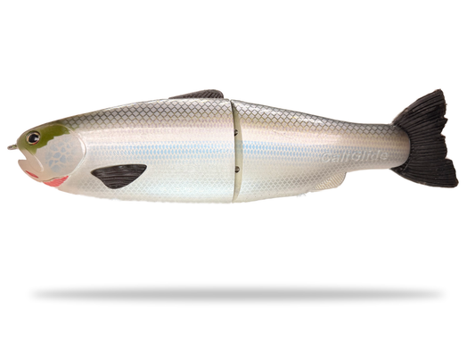 CaliGlide Trout - Resin Glide