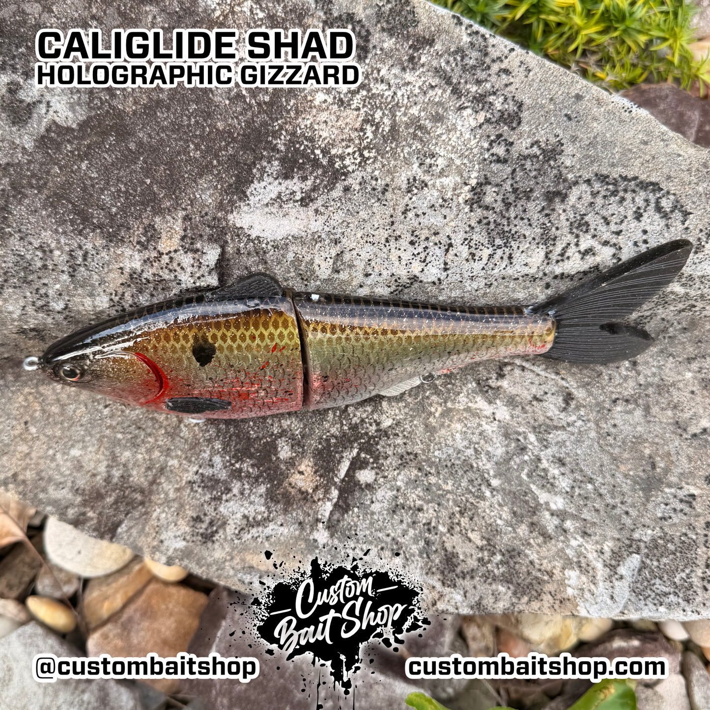 CaliGlide - Shad Glidebait