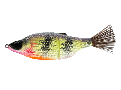 7" Carpio Swim Bait