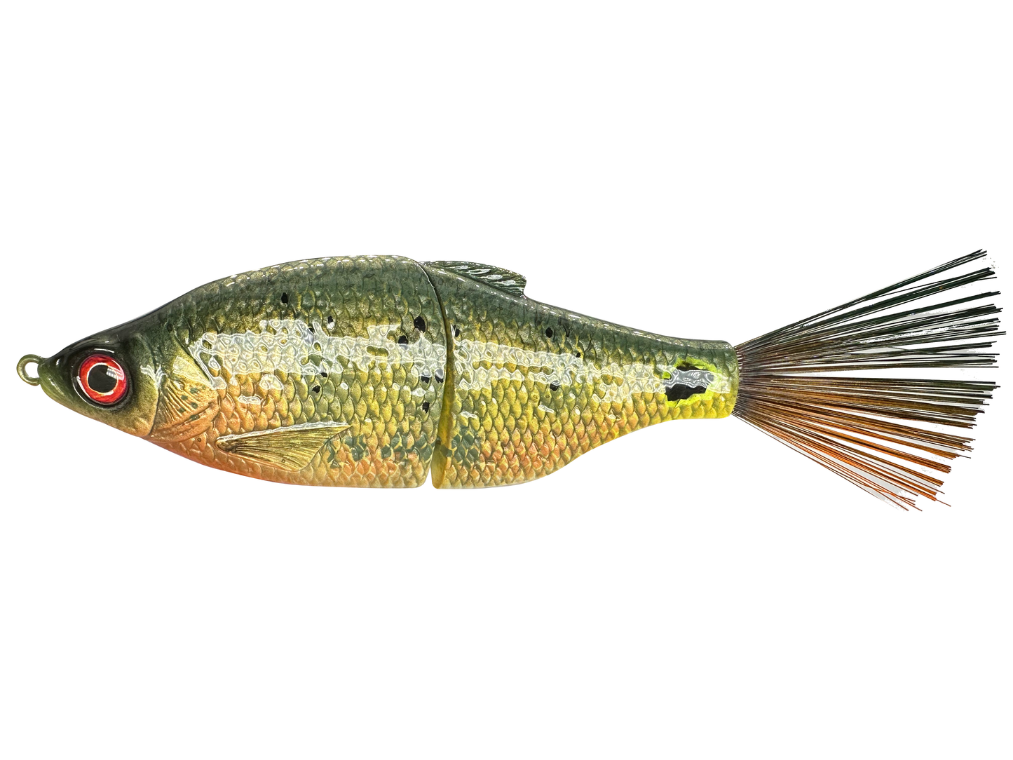 7" Carpio Swim Bait