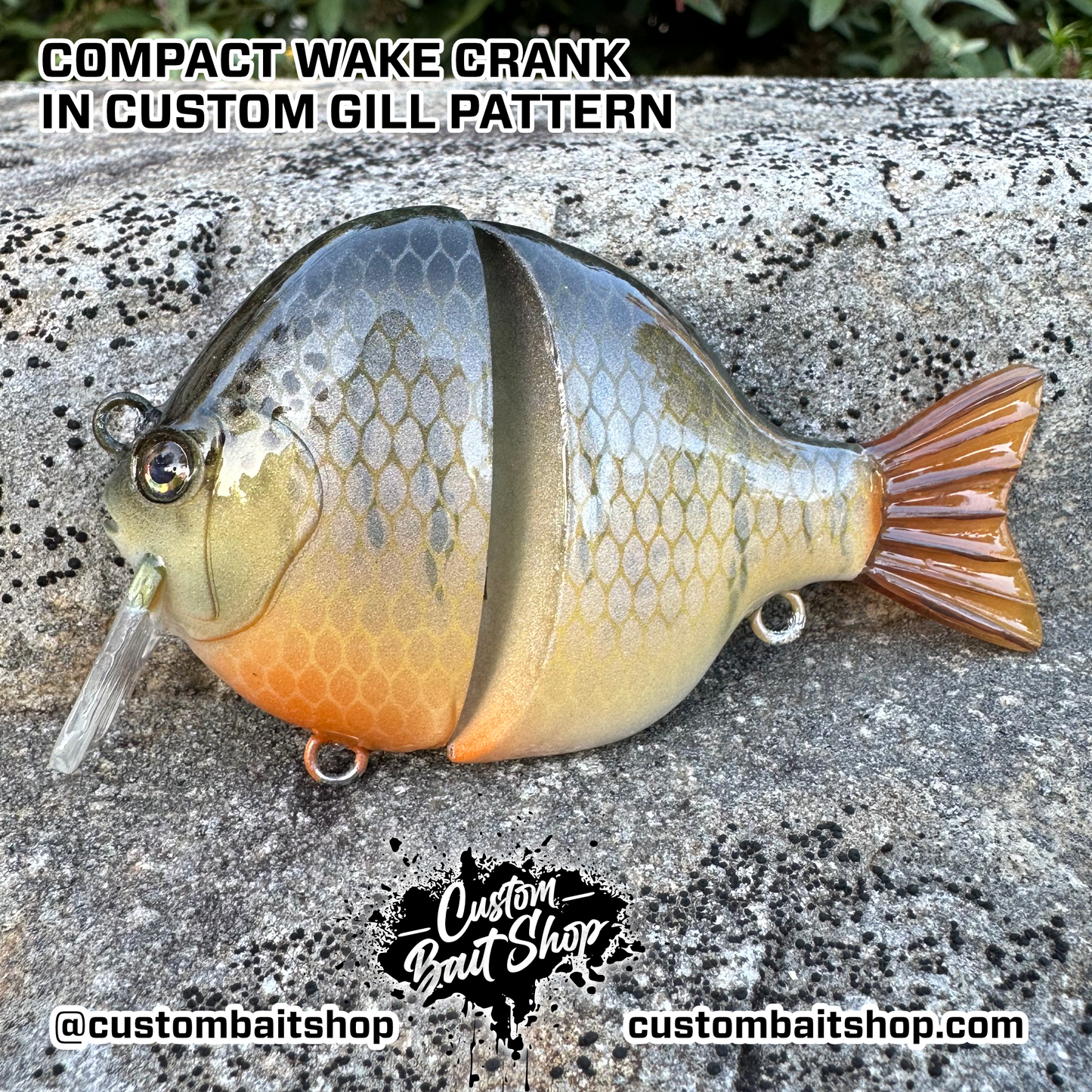 3.75" Compact Wake Bait