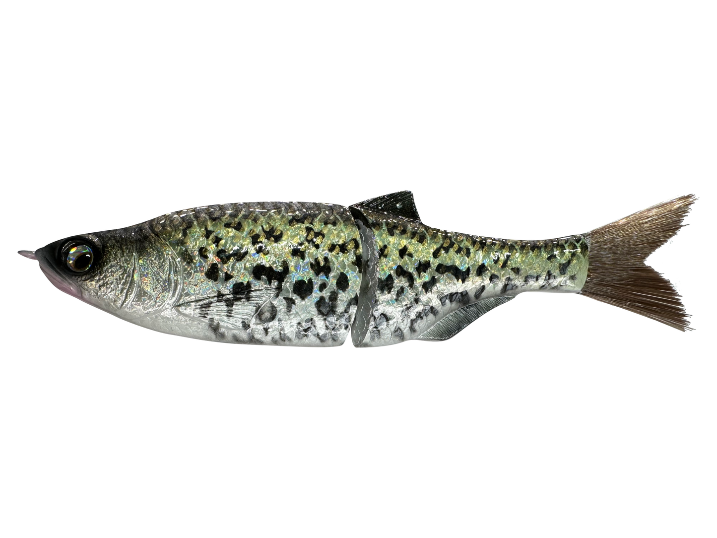 6" Slim Shady Glide Bait