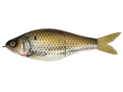 8" Double Set Glide Bait