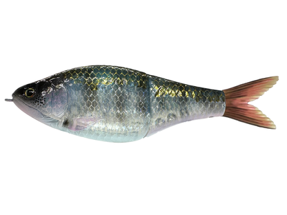 Double Set Glide Bait (Sale)
