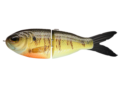 Dutchman - Natural Gill