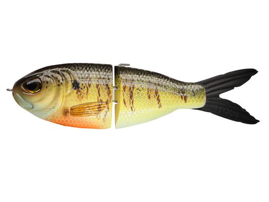 Dutchman - Natural Gill