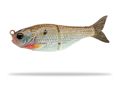 5" Forage Gill - (Drop)