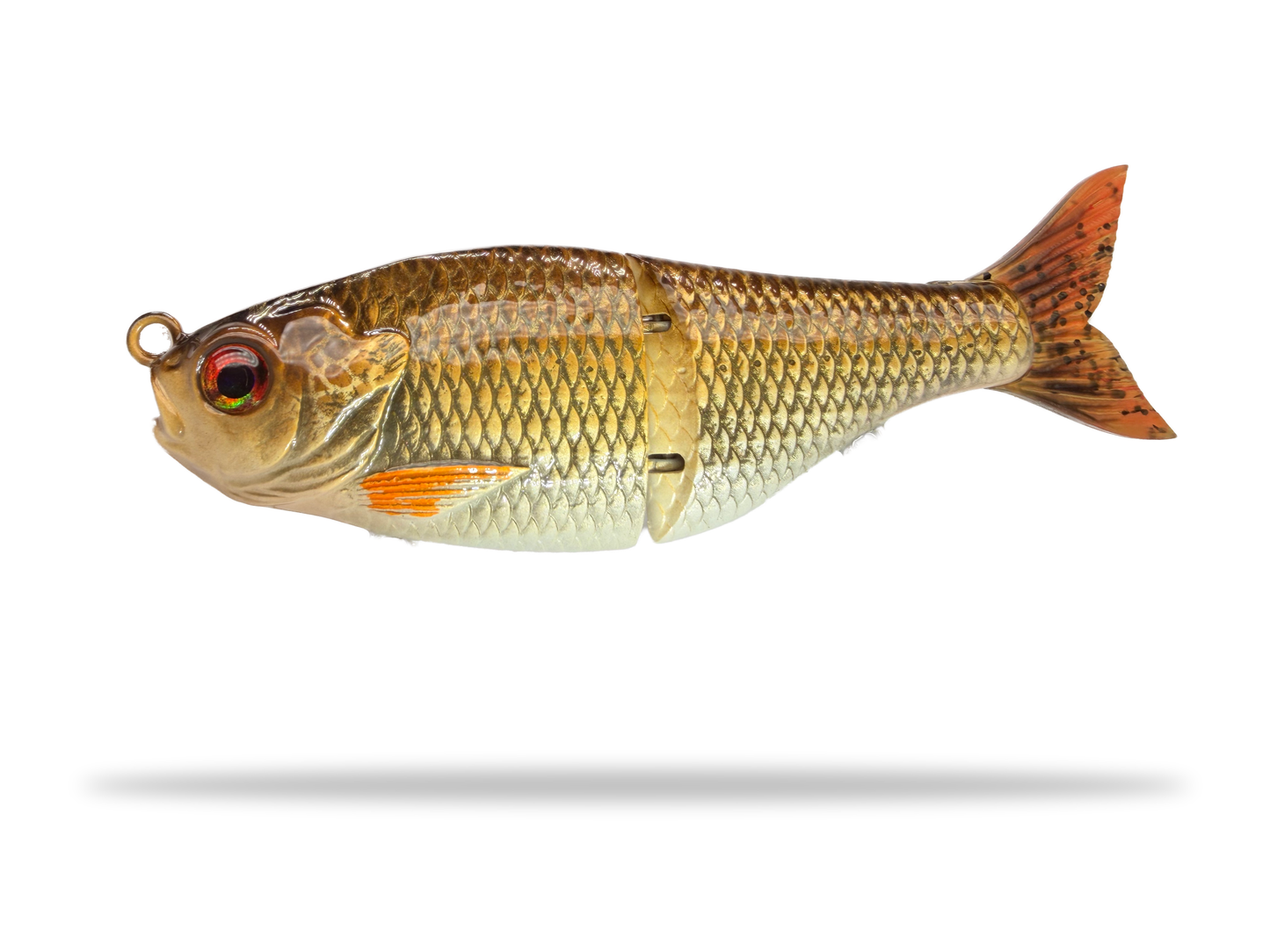 5" Forage Gill - (Drop)