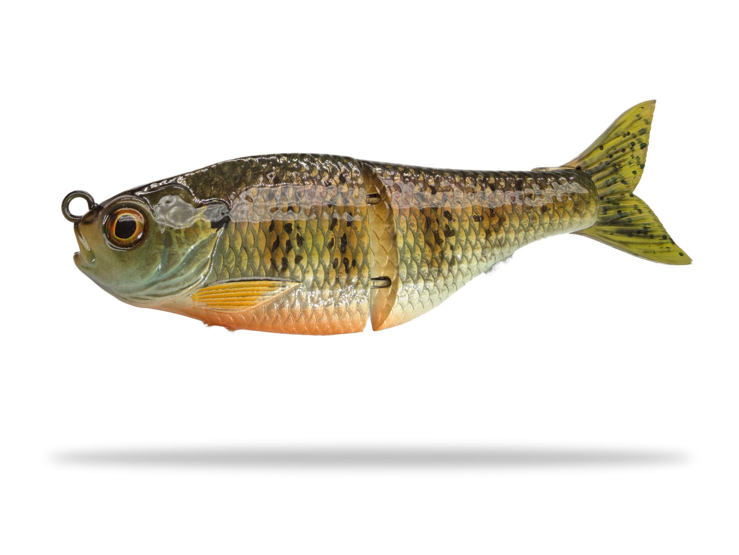 5" Forage Gill - (Drop)