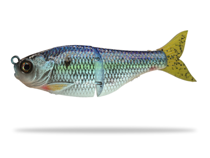 5" Forage Gill - (Drop)
