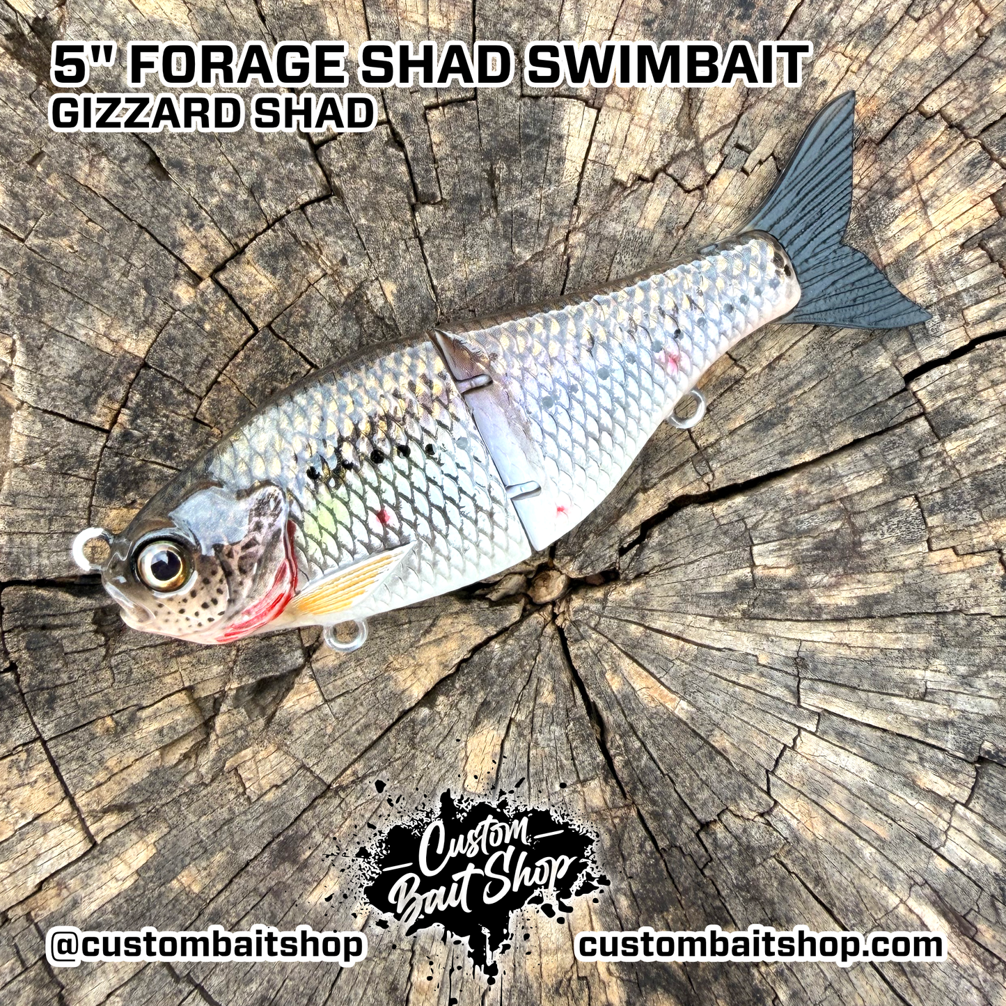 5" Forage Shad - Micro Glide