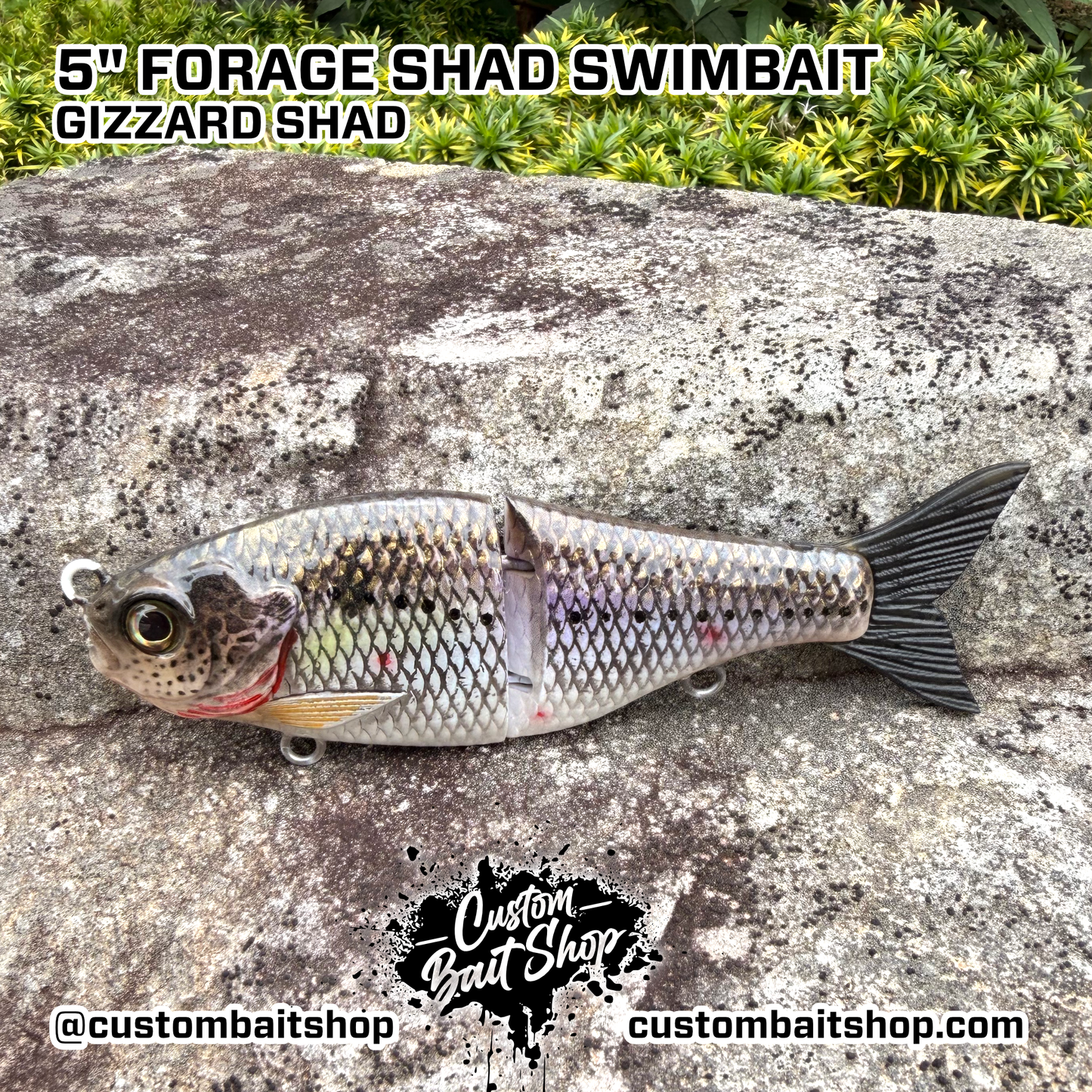 5" Forage Shad - Micro Glide
