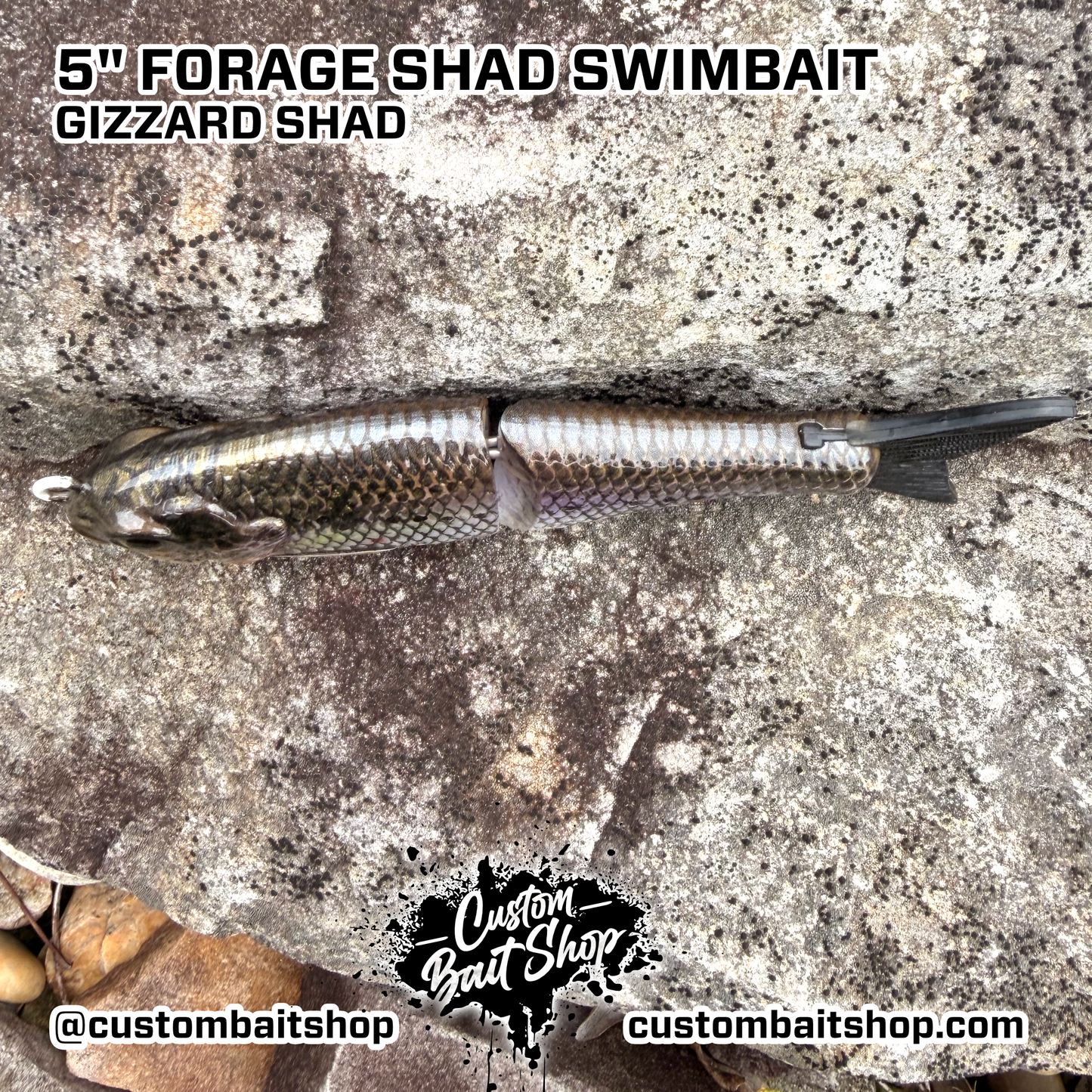 5" Forage Shad - Micro Glide